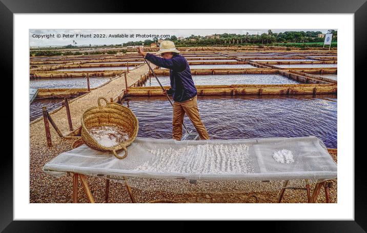 Harvesting Domestic Sea Salt Mallorca Framed Mounted Print by Peter F Hunt