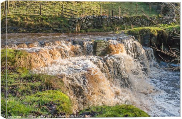 Swollen Waterfall on Ettersgill Beck, Teesdale Canvas Print by Richard Laidler