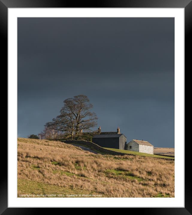 Ash Hill Farm, Teesdale Framed Mounted Print by Richard Laidler