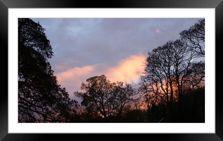 Sunset Over Trees Framed Mounted Print by Richard Fairbairn