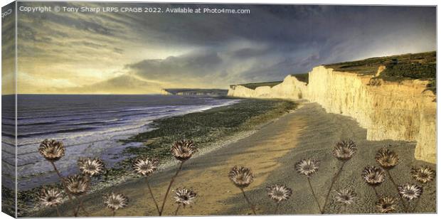 BIRLING GAP AND SEVEN SISTERS Canvas Print by Tony Sharp LRPS CPAGB
