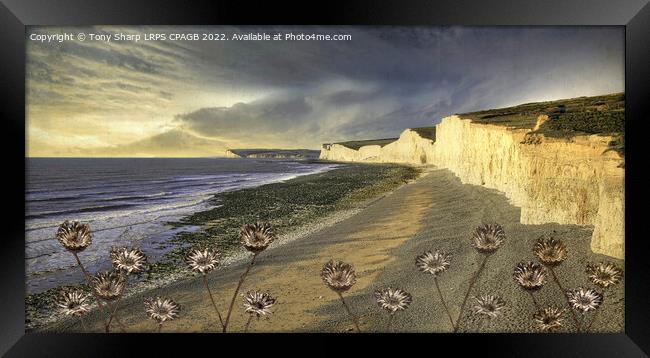 BIRLING GAP AND SEVEN SISTERS Framed Print by Tony Sharp LRPS CPAGB