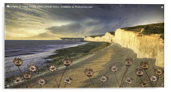 BIRLING GAP AND SEVEN SISTERS Acrylic by Tony Sharp LRPS CPAGB