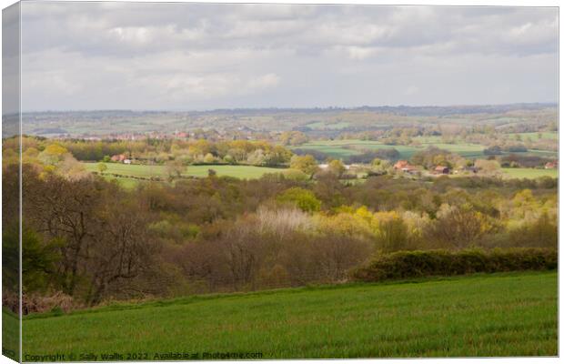 Sussex Weald  View Canvas Print by Sally Wallis