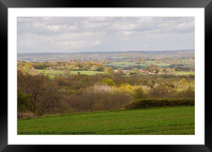 Sussex Weald  View Framed Mounted Print by Sally Wallis