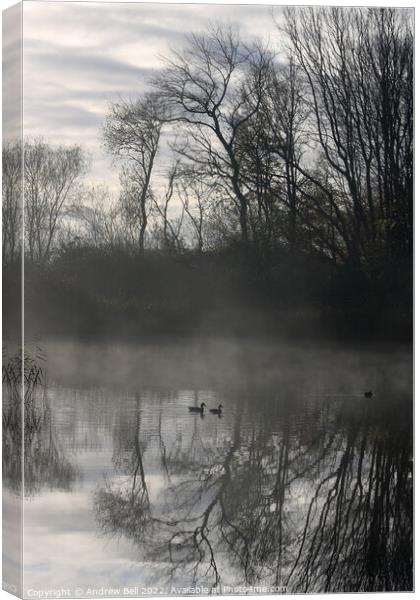 Mallards in Mist Canvas Print by Andrew Bell
