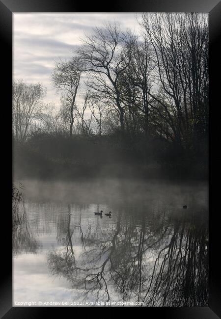 Mallards in Mist Framed Print by Andrew Bell