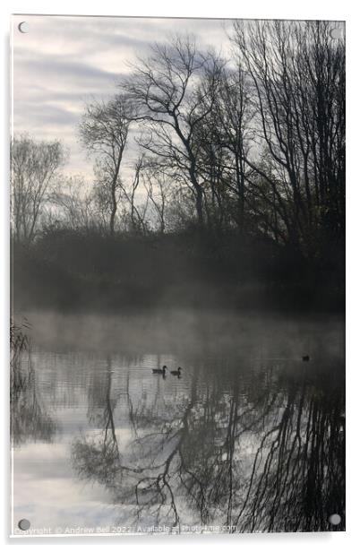 Mallards in Mist Acrylic by Andrew Bell