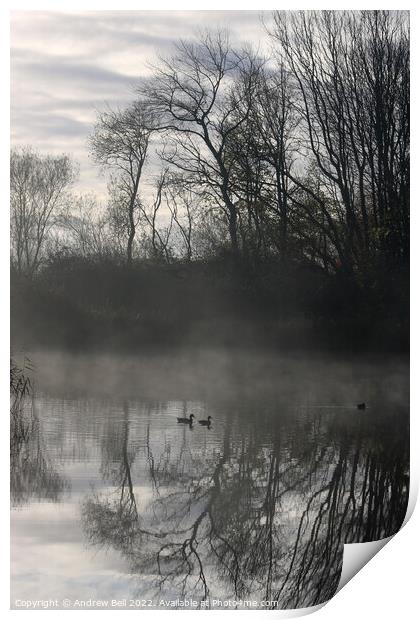 Mallards in Mist Print by Andrew Bell