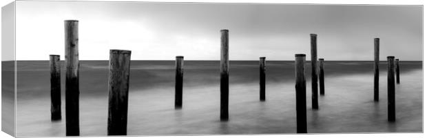 Palendorp Petten Beach Netherlands Black and white Canvas Print by Sonny Ryse