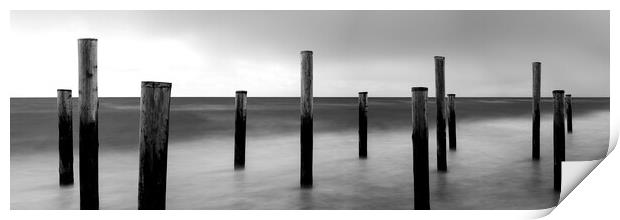 Palendorp Petten Beach Netherlands Black and white Print by Sonny Ryse