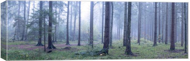 Misty Woodland in Germany Canvas Print by Sonny Ryse