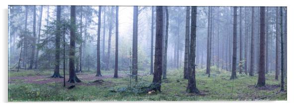 Misty Woodland in Germany Acrylic by Sonny Ryse