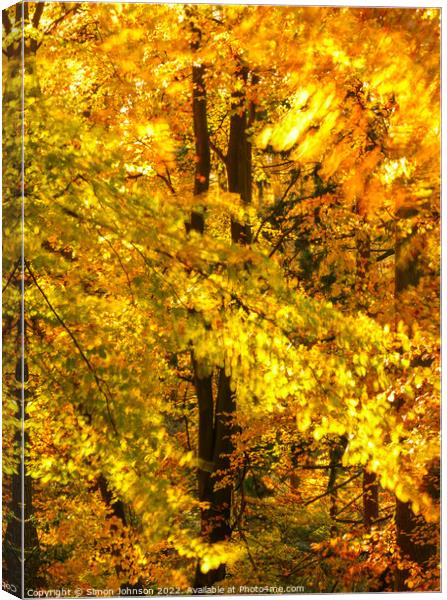 wind blown autumn woodland  Canvas Print by Simon Johnson
