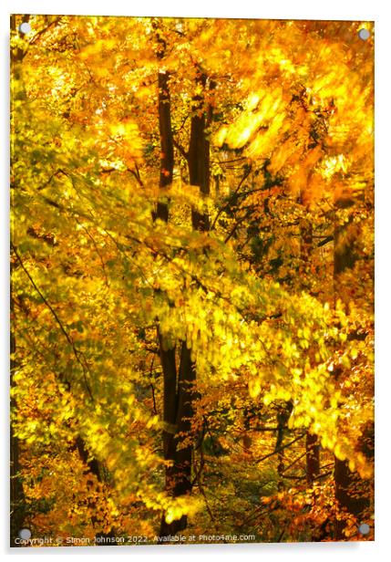 wind blown autumn woodland  Acrylic by Simon Johnson
