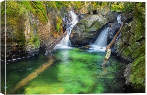 Waterfall near Rydal water Canvas Print by Kevin Winter