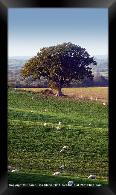 Rural England Framed Print by Sharon Lisa Clarke