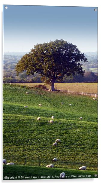 Rural England Acrylic by Sharon Lisa Clarke