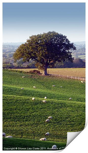 Rural England Print by Sharon Lisa Clarke