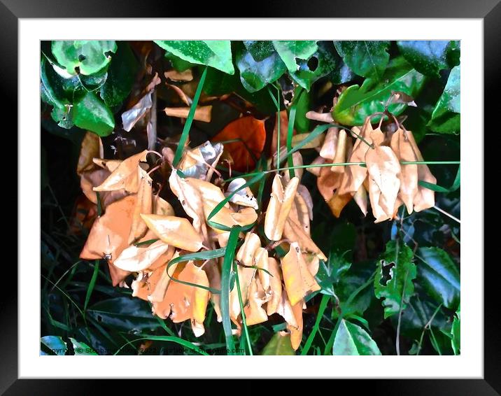Dead leaves Framed Mounted Print by Stephanie Moore