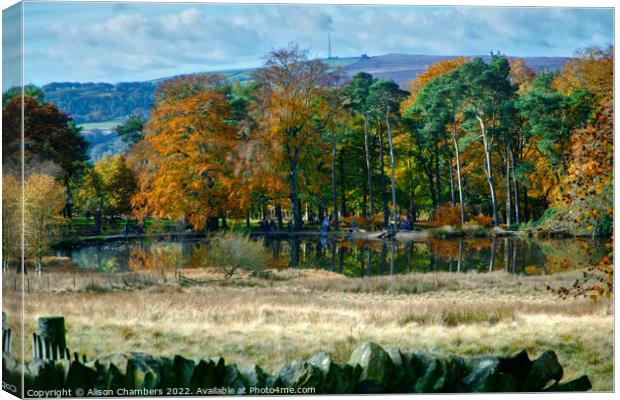 Longshaw Pond Canvas Print by Alison Chambers