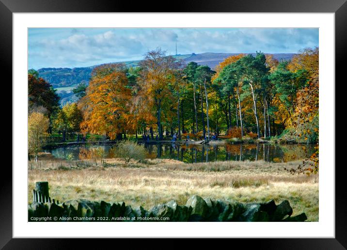 Longshaw Pond Framed Mounted Print by Alison Chambers