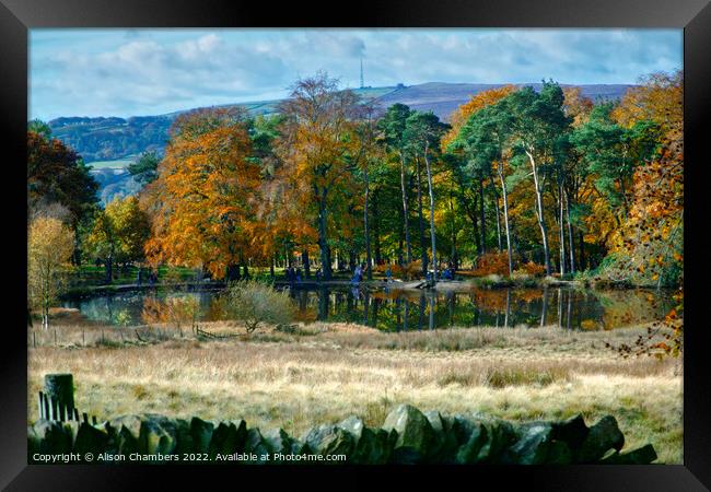 Longshaw Pond Framed Print by Alison Chambers