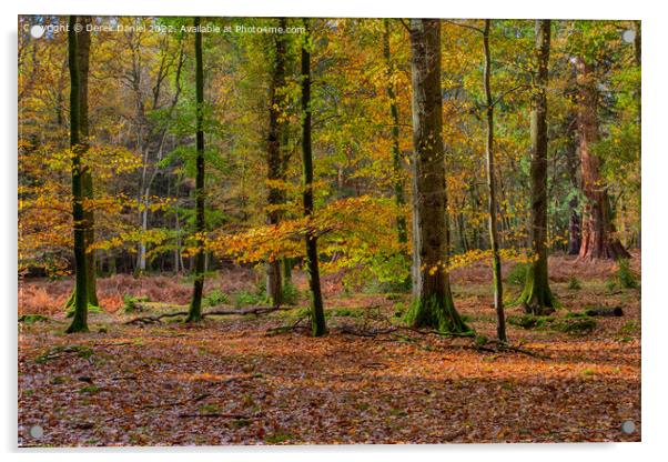 Wonderful Autumn Forest Scene Acrylic by Derek Daniel