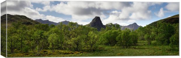Bo Vesteralen Mountains and Forest Norway Canvas Print by Sonny Ryse