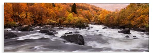 Espedalsana River Autumn rapids Rogaland Norway Acrylic by Sonny Ryse