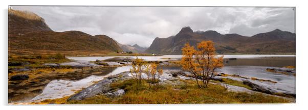 Flakstadoya Flakstadpollen Bay and Mountains in Autumn Lofoten I Acrylic by Sonny Ryse