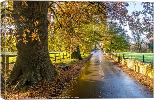 Autumn colours at Merthyr Mawr in Wales Canvas Print by Stephen Jenkins