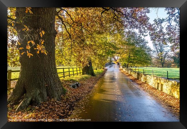 Autumn colours at Merthyr Mawr in Wales Framed Print by Stephen Jenkins