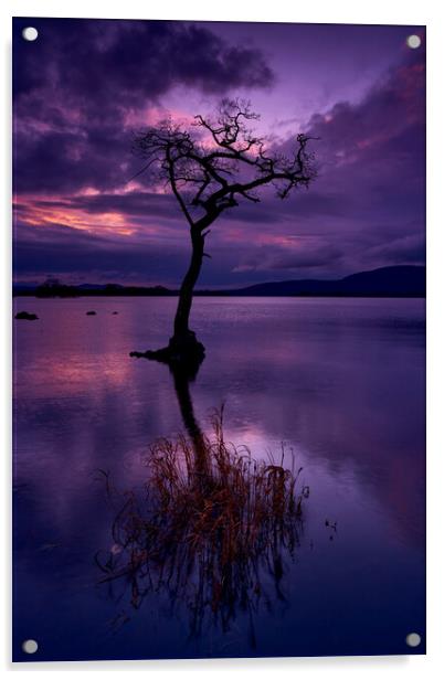 Loch Lomond Lullaby Acrylic by JC studios LRPS ARPS