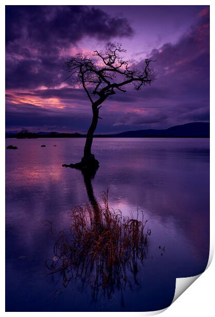 Loch Lomond Lullaby Print by JC studios LRPS ARPS