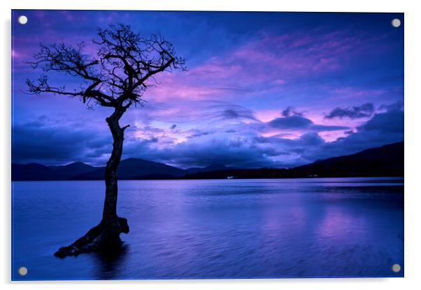 By yon bonnie banks... Loch Lomond  Acrylic by JC studios LRPS ARPS