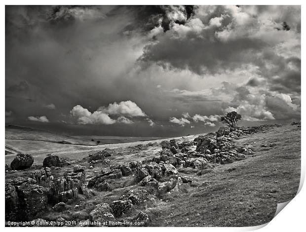 Standing alone Print by Colin Chipp