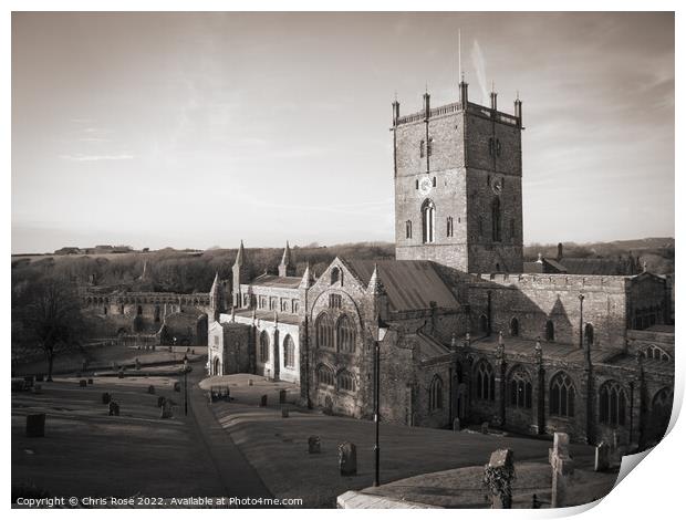 St Davids Cathedral Print by Chris Rose
