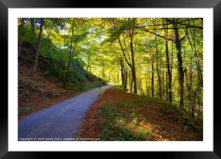 Collsacabra Forest Path - Orton glow Edition  Framed Mounted Print by Jordi Carrio