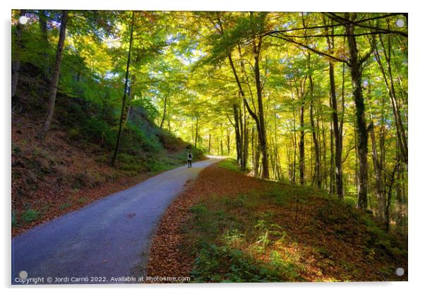 Collsacabra Forest Path - Orton glow Edition  Acrylic by Jordi Carrio