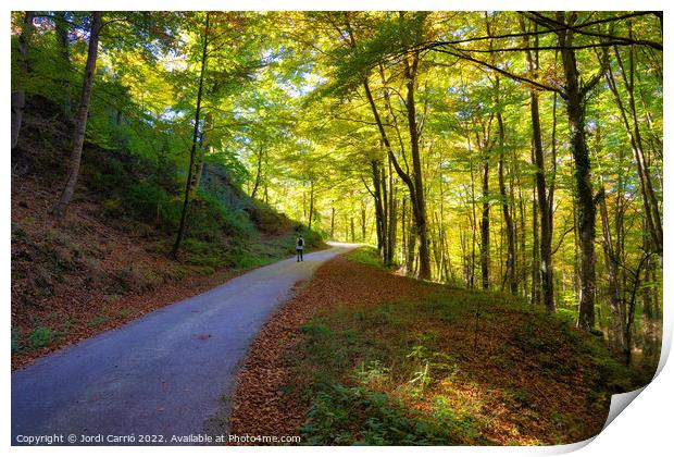 Collsacabra Forest Path - Orton glow Edition  Print by Jordi Carrio
