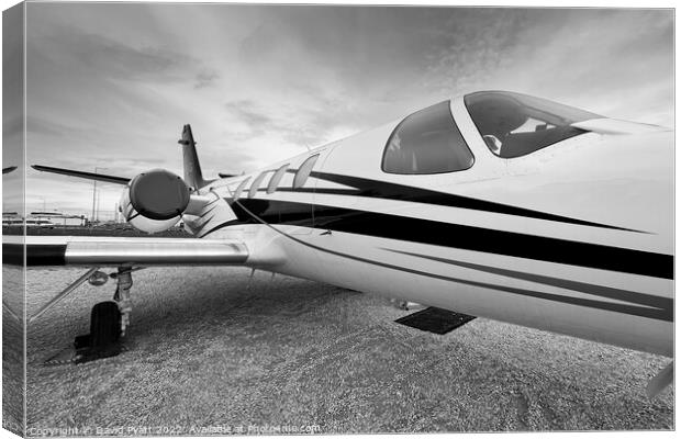 Cessna 500 Citation  Canvas Print by David Pyatt