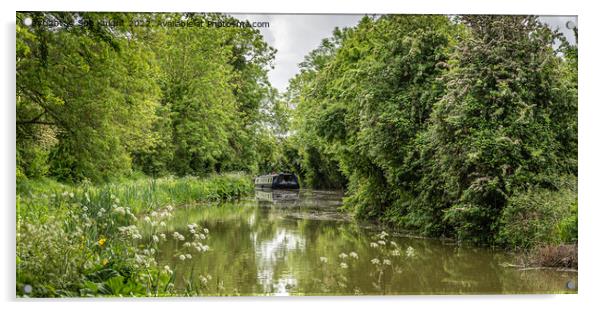 A trip on the canal Acrylic by Sue Knight