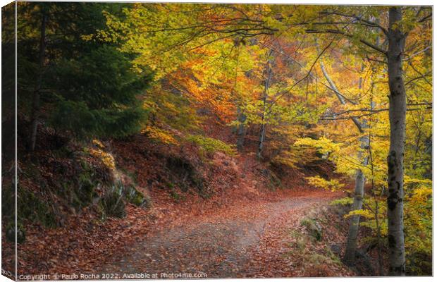 Beautiful autumn forest landscape in Manteigas, Portugal Canvas Print by Paulo Rocha
