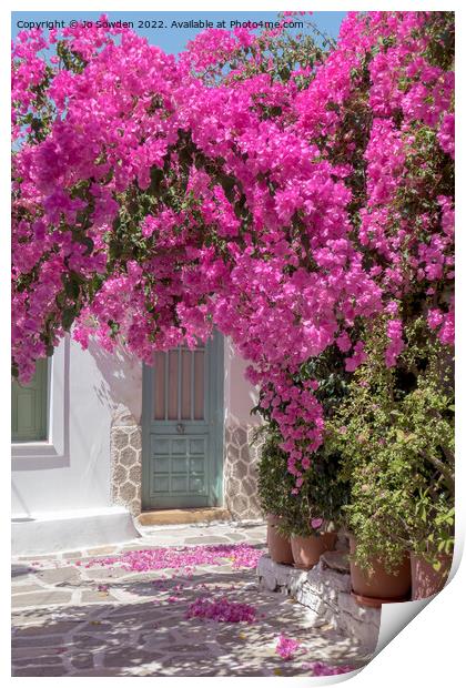 bougainvillea beauty  Print by Jo Sowden