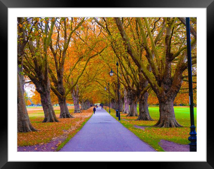 Ethereal Autumn Avenue Framed Mounted Print by Simon Hill