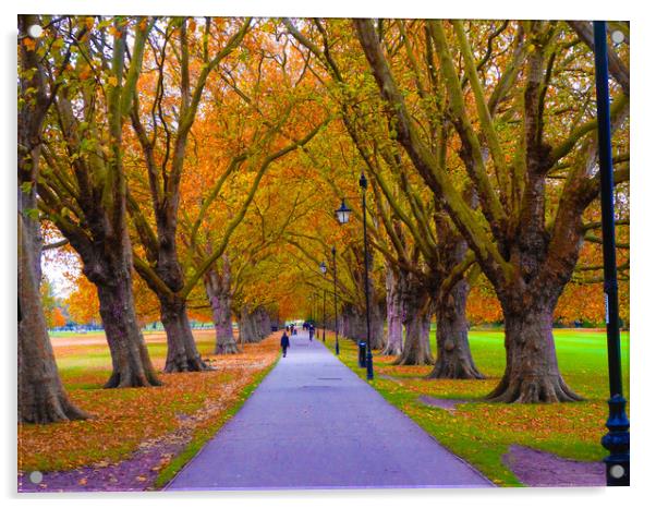 Ethereal Autumn Avenue Acrylic by Simon Hill