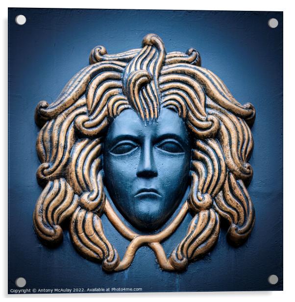 Medusa The Gorgon Acrylic by Antony McAulay