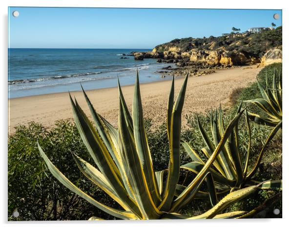 Praia Da Oura viewpoint Acrylic by Tony Twyman