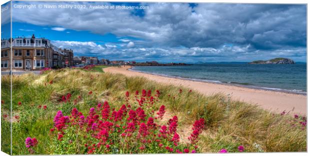 Wild flowers and beach at Milsey Bay, North Berwick  Canvas Print by Navin Mistry